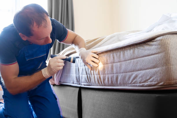 Best Fumigation Services  in South Yarmouth, MA